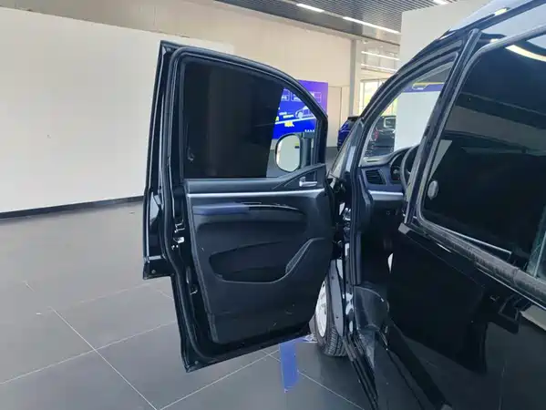 Dongfeng Lingzhi 2024