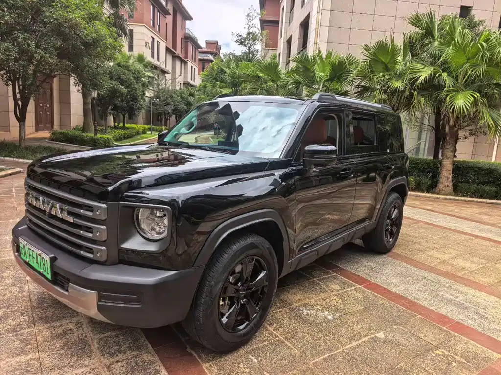 Haval Raptors New Energy 2024 — фото 1