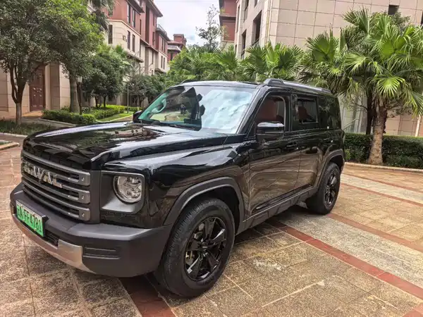 Haval Raptors New Energy 2024