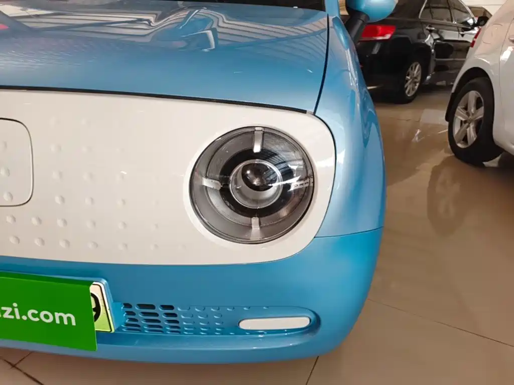 Ora Black Cat 2021 — фото 24