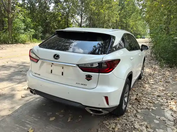 Lexus RX 2019
