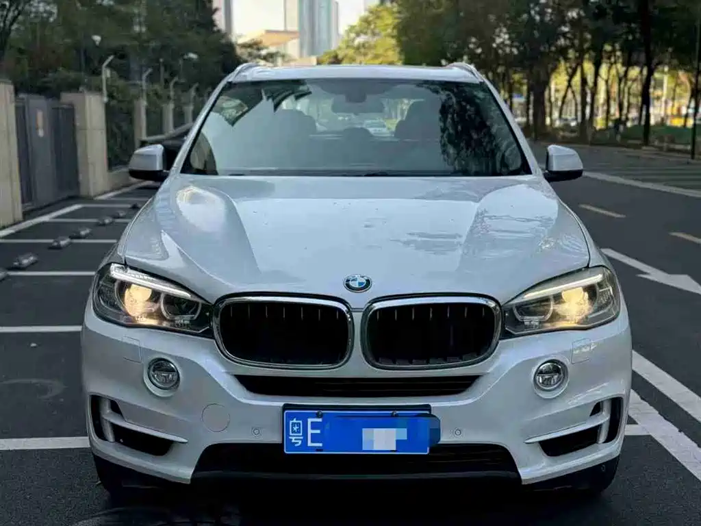 BMW X5 2014 — фото 2