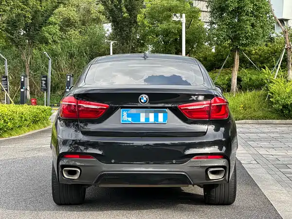 BMW X6 2019