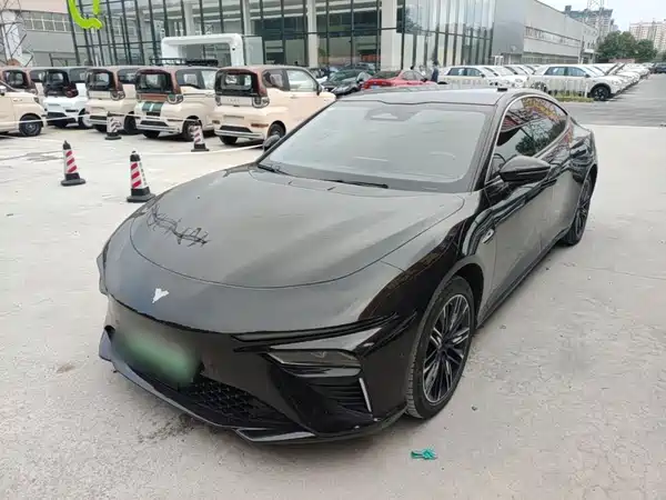 Neta S 2024