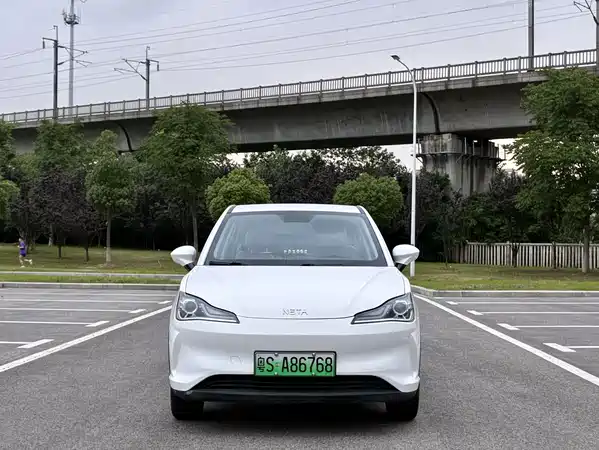 Neta V 2021