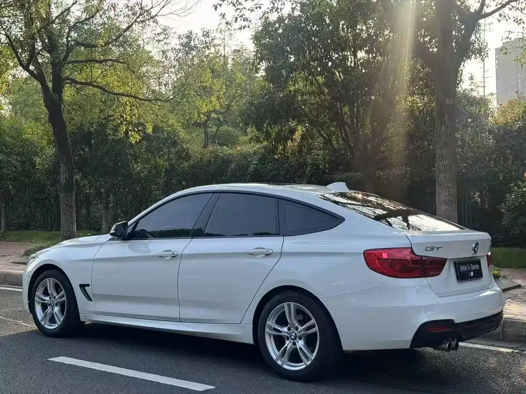 BMW 3 Series GT 2019 — фото 10