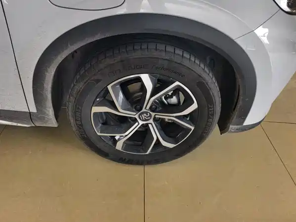 BYD Yuan PLUS 2024