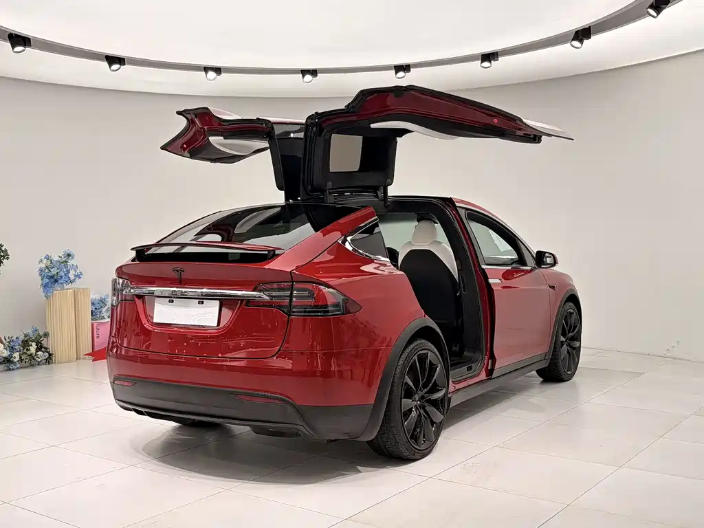 Tesla Model X 2019 — фото 11