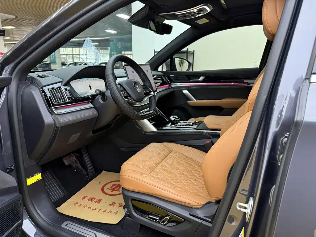 BYD Tang New Energy 2024