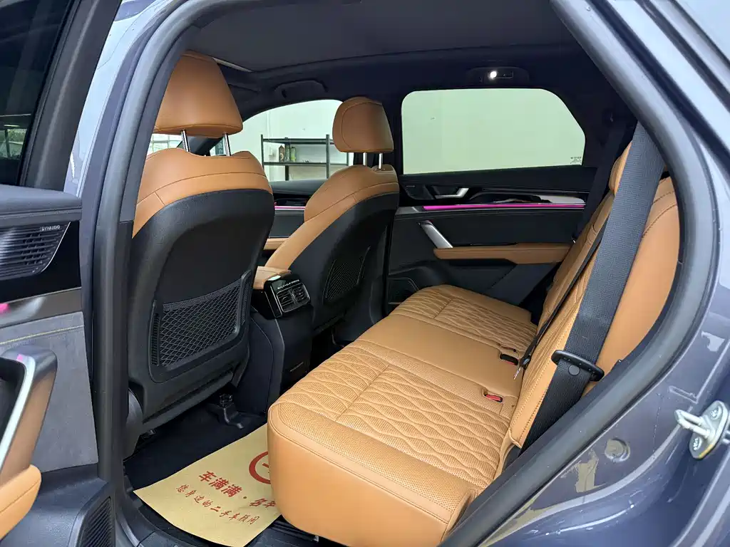 BYD Tang New Energy 2024
