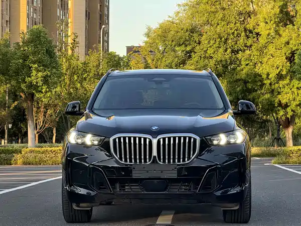 BMW X5 2025