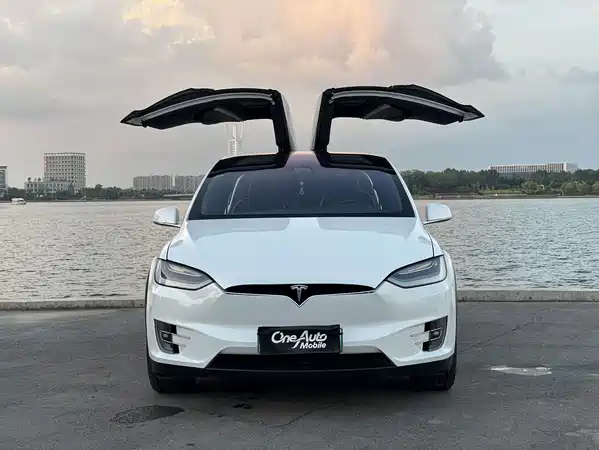 Tesla Model X 2020