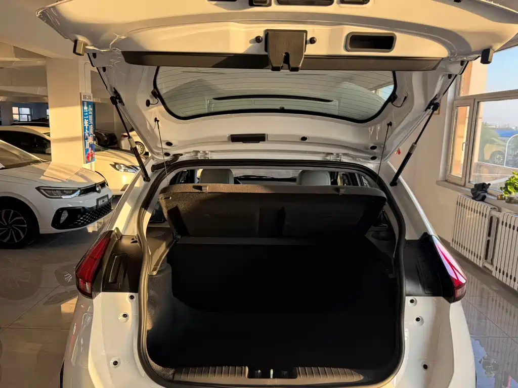 Chery Tiggo 3x 2024 — фото 16