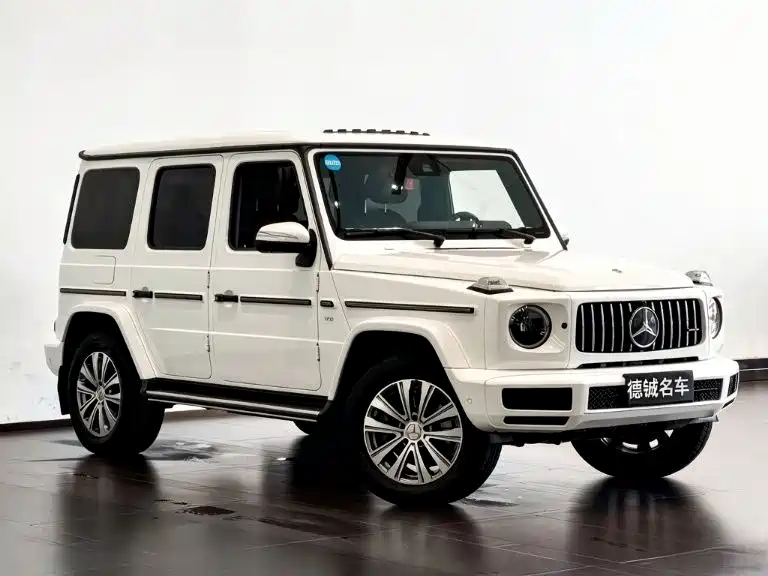 Mercedes-Benz G-Class 2021 — фото 3