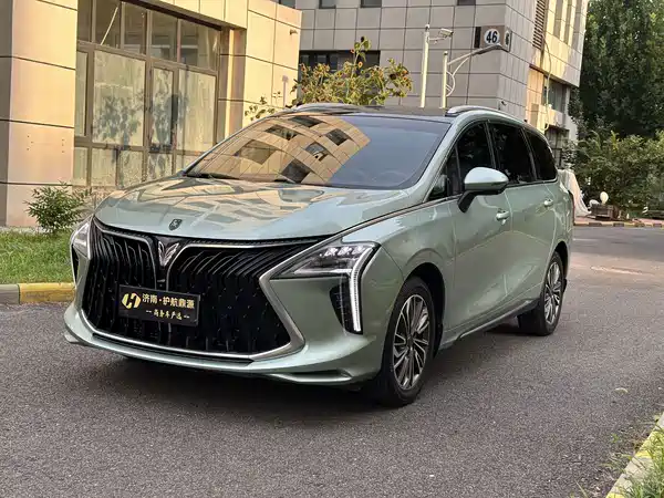 Dongfeng Popular Yacht 2024