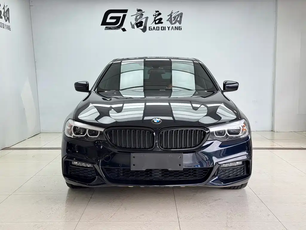 BMW 5 Series 2019