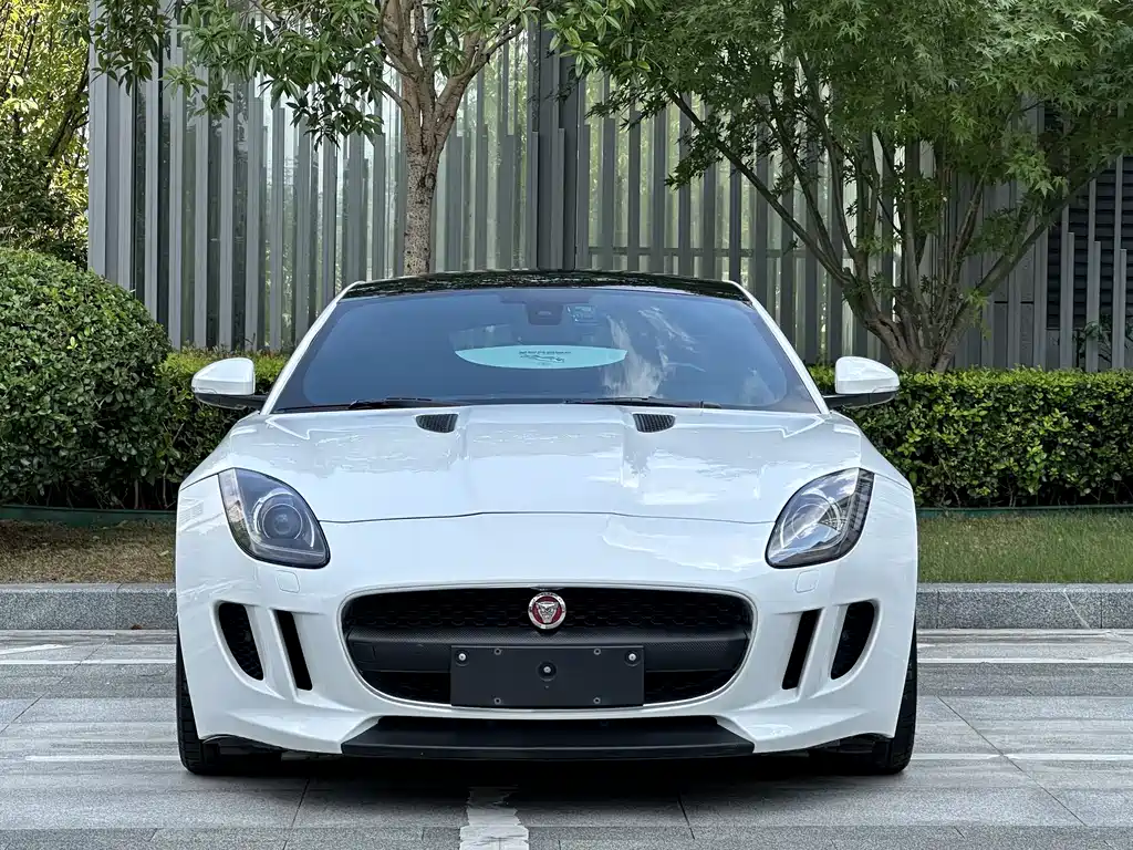 Jaguar F-TYPE 2016 — фото 2