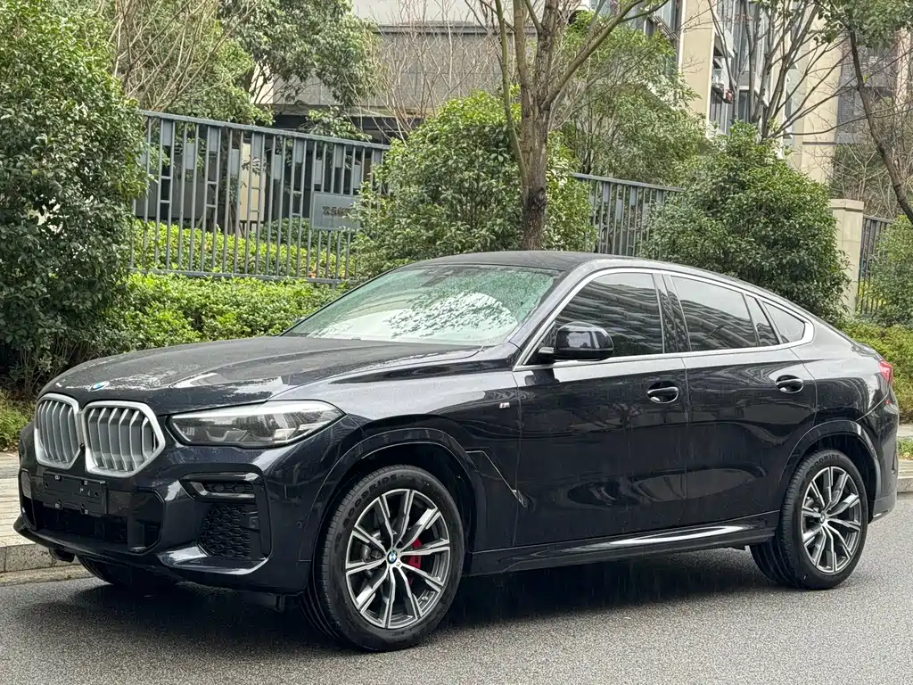 BMW X6 2021 — фото 1