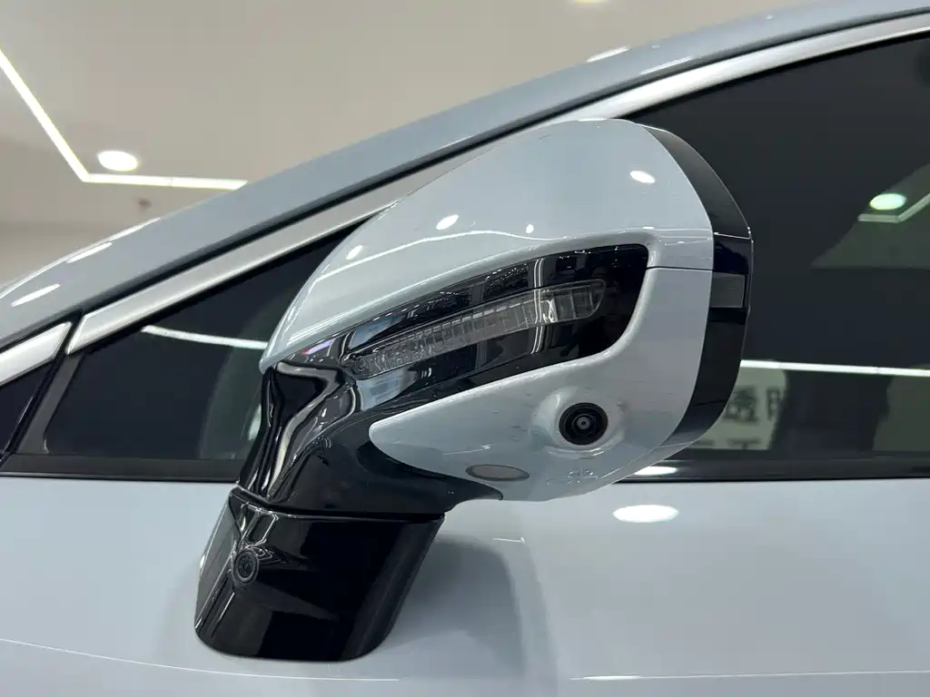 BYD L DM-i 2025 — фото 23