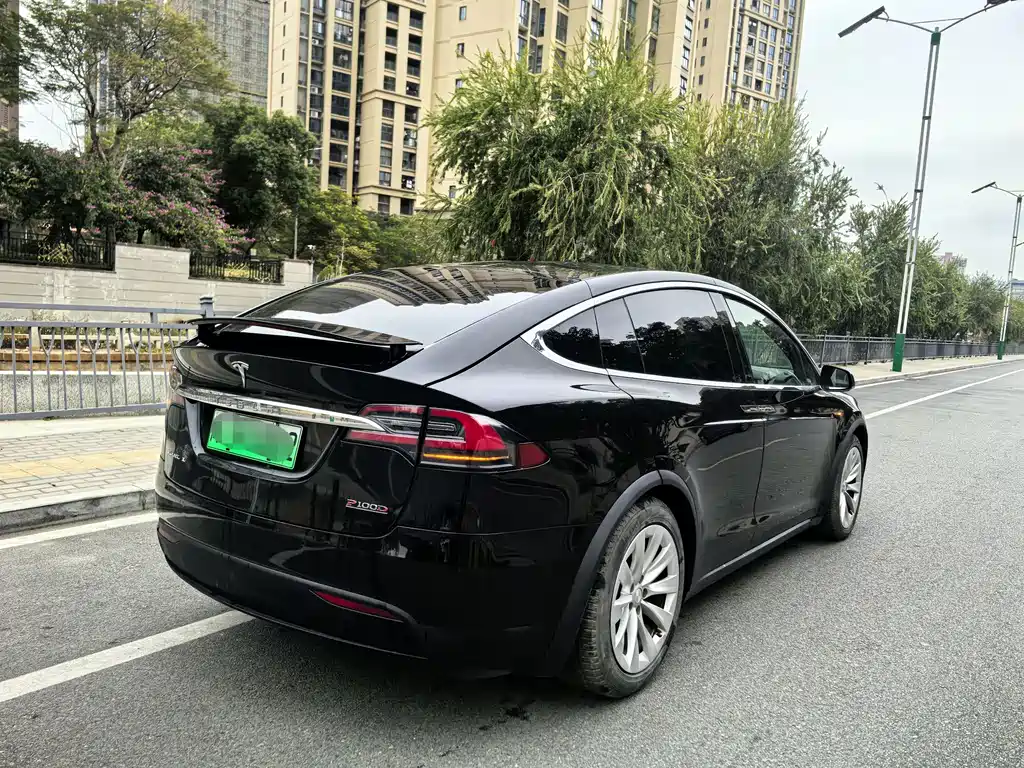 Tesla Model X 2019 — фото 19