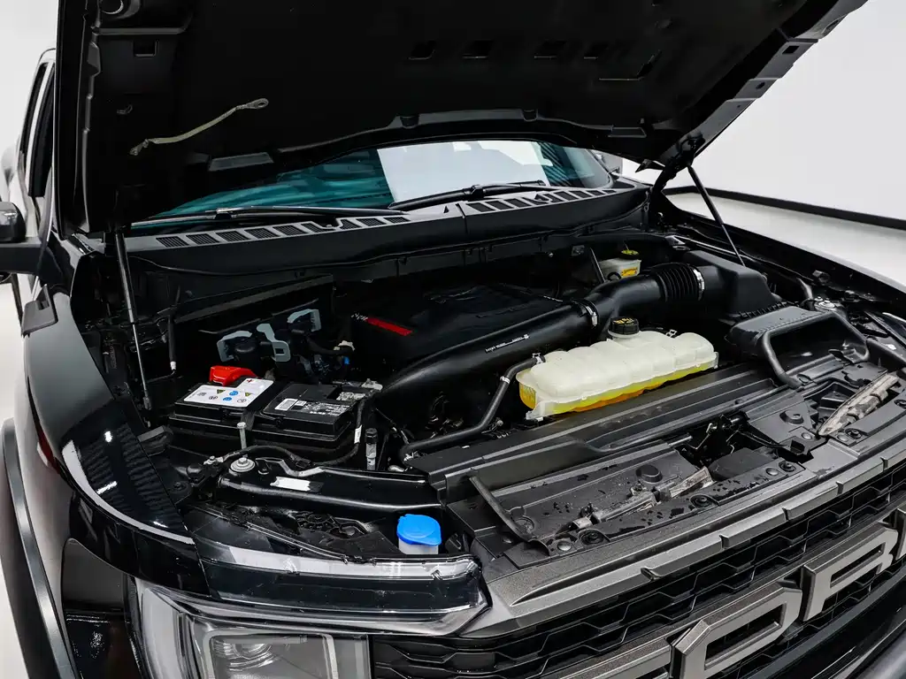 Ford F-150 Raptor 2024 — фото 22
