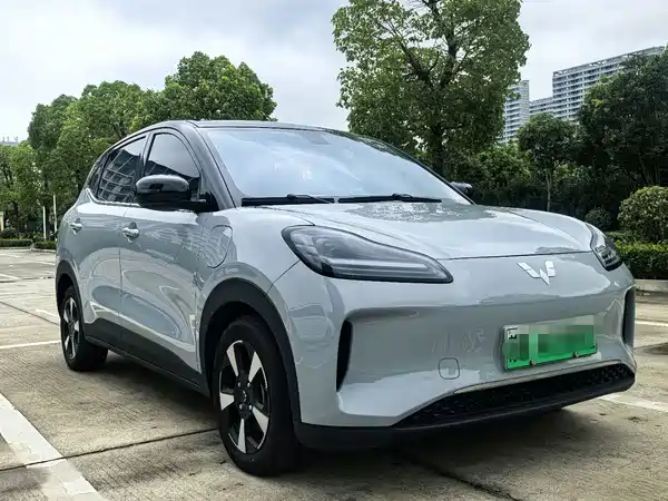 Wuling Bingo PLUS 2024