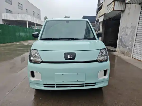 Dongfeng Scenery MINIEV 2024