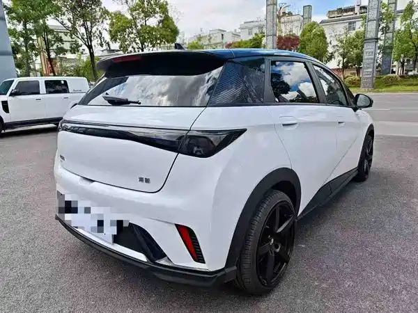BYD Dolphin 2024