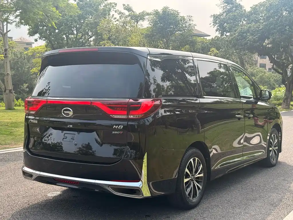 GAC Motor Trumpchi M8 2023 — фото 9