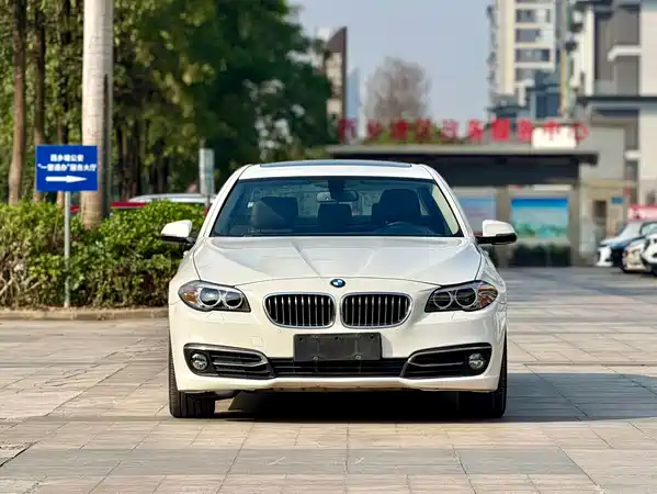 BMW 5 Series 2015