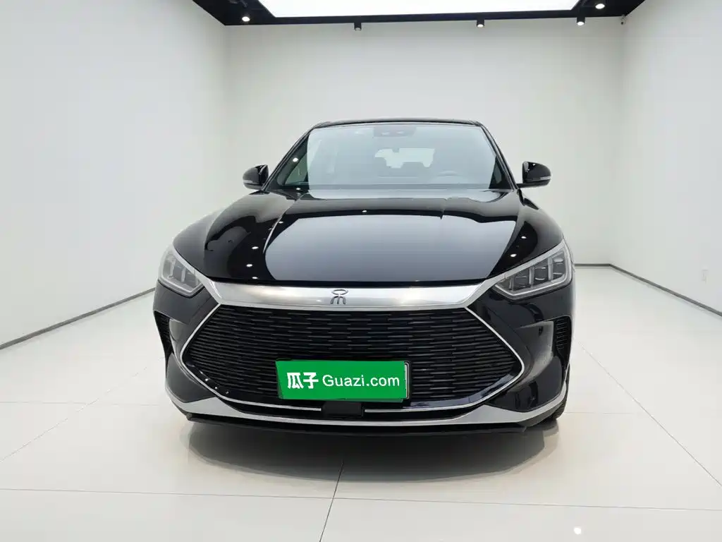 BYD Song PLUS New Energy 2023 — фото 2