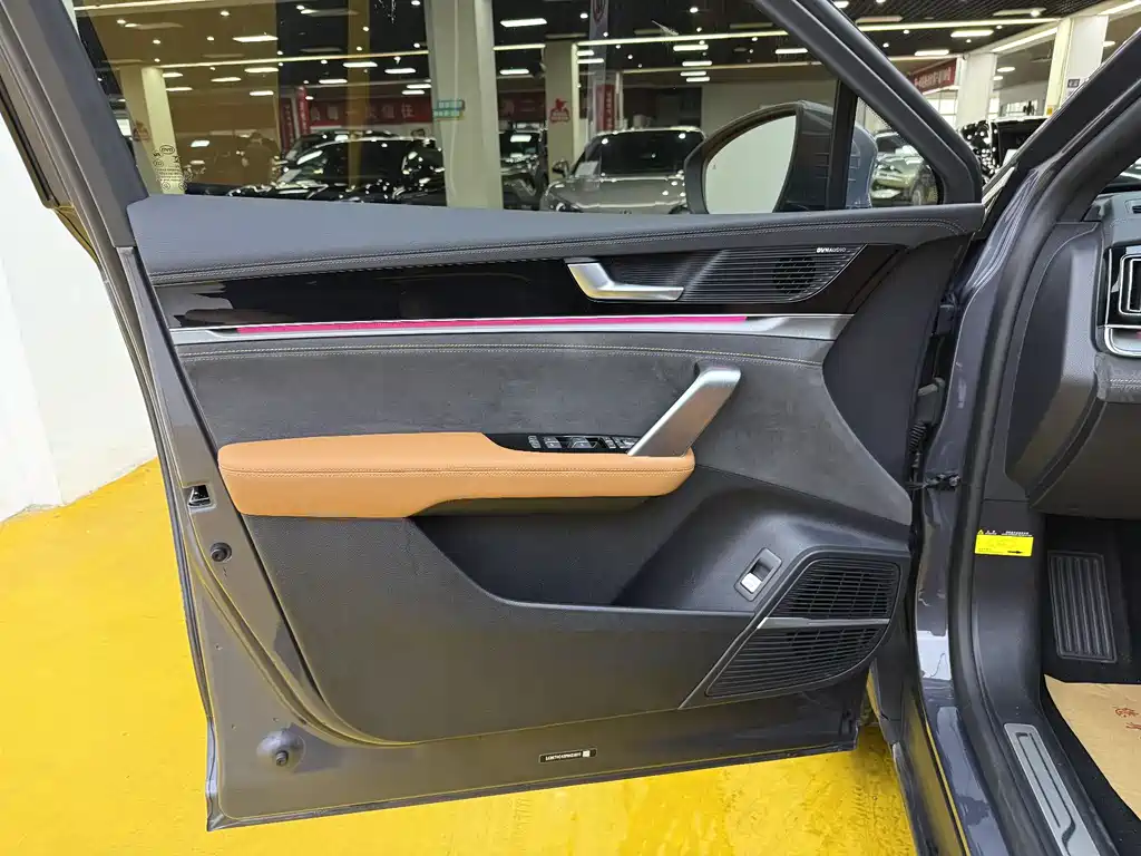 BYD Tang New Energy 2024