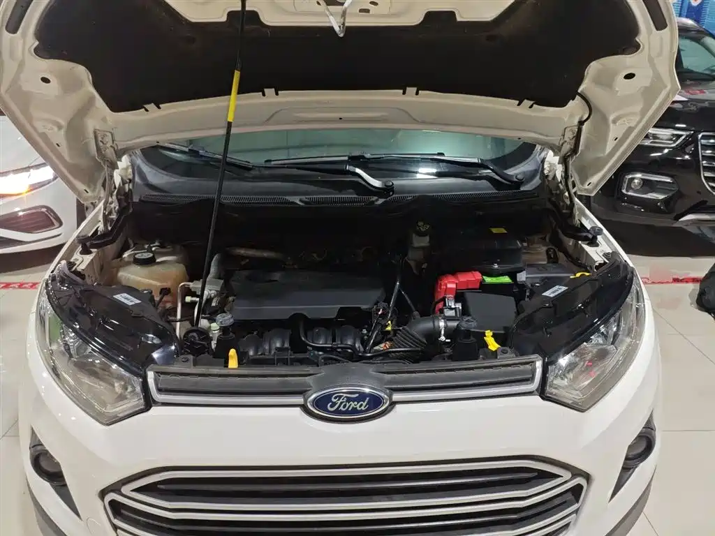 Ford Ecosport 2016 — фото 20