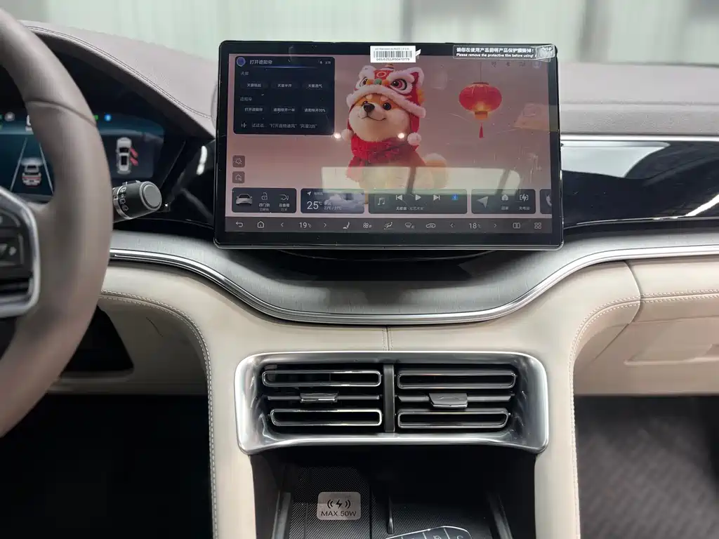 BYD Song PLUS New Energy 2024 — фото 13