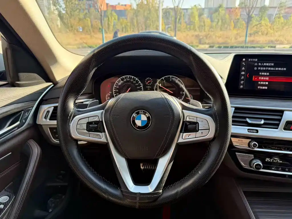 BMW 5 Series 2019 — фото 12