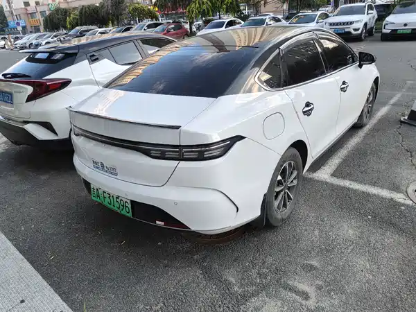 BYD Destroyer 05 2024
