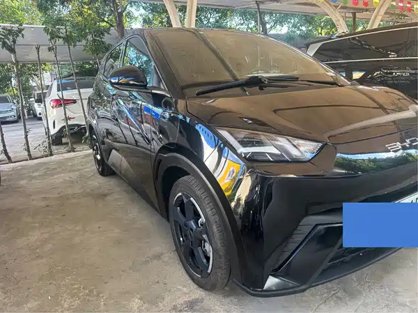 BYD Seagull 2024