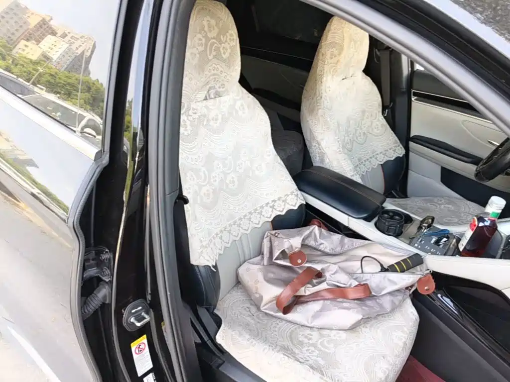 BYD Song PLUS New Energy 2024 — фото 25