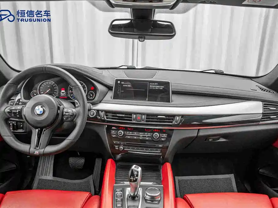 BMW X6 2019 — фото 13