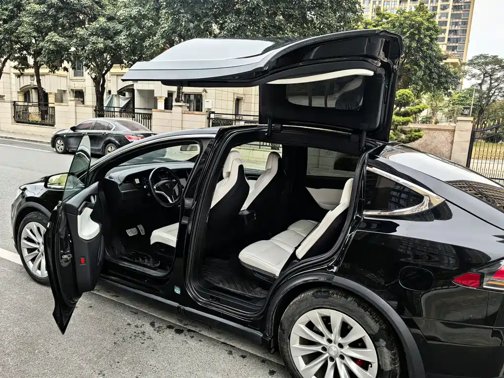 Tesla Model X 2019 — фото 8