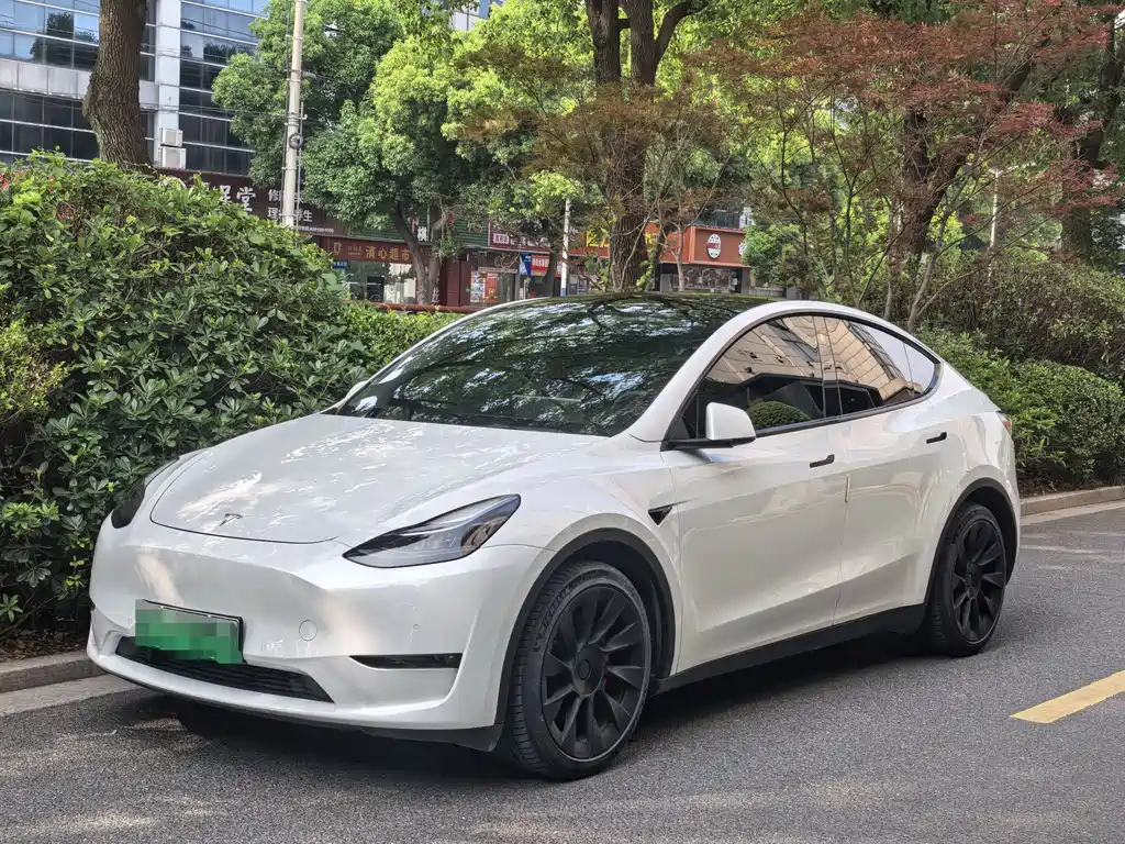 Tesla Model Y 2021 — фото 1