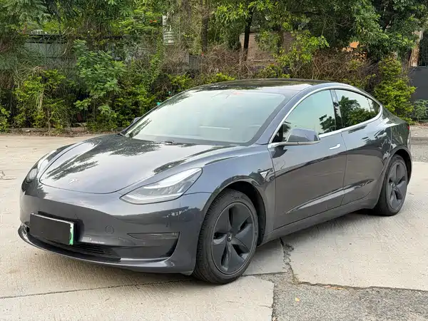 Tesla Model 3 2019