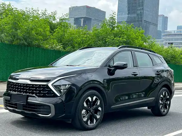 Kia Lion Platinum Expands The Boundary 2024