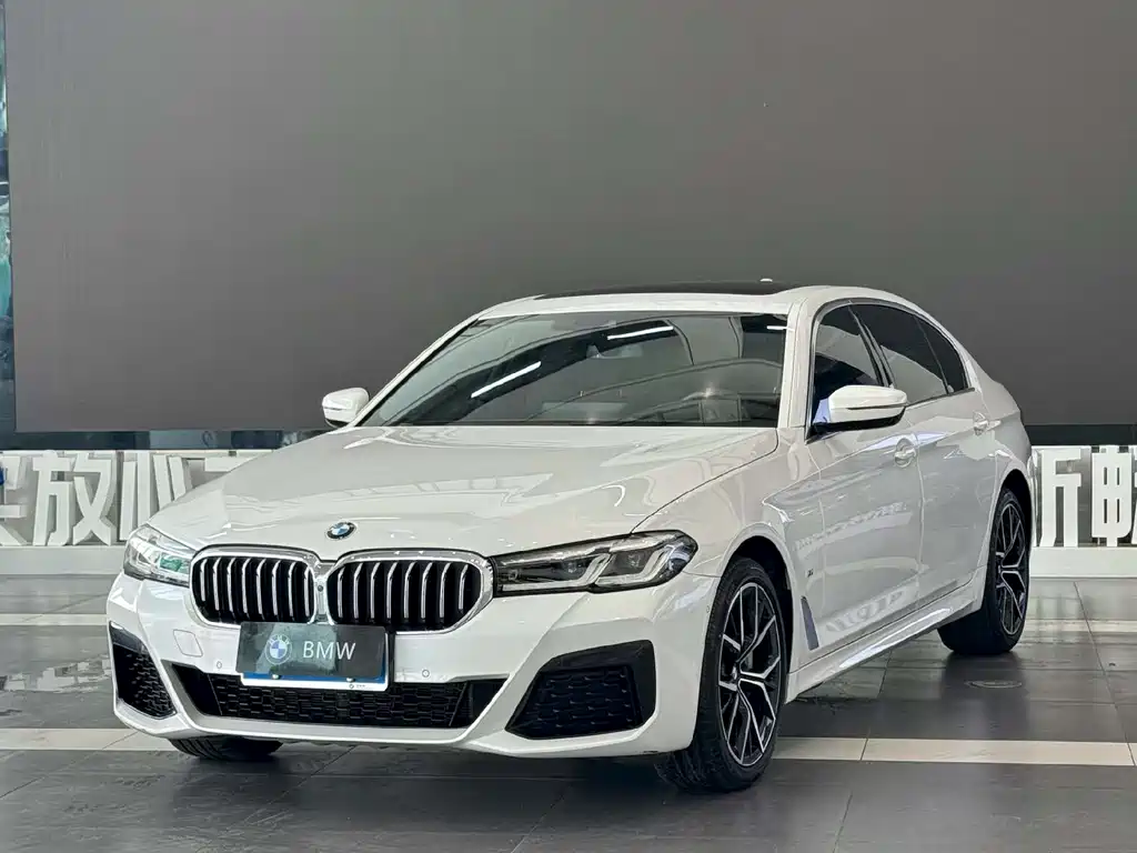 BMW 5 Series 2020 — фото 1