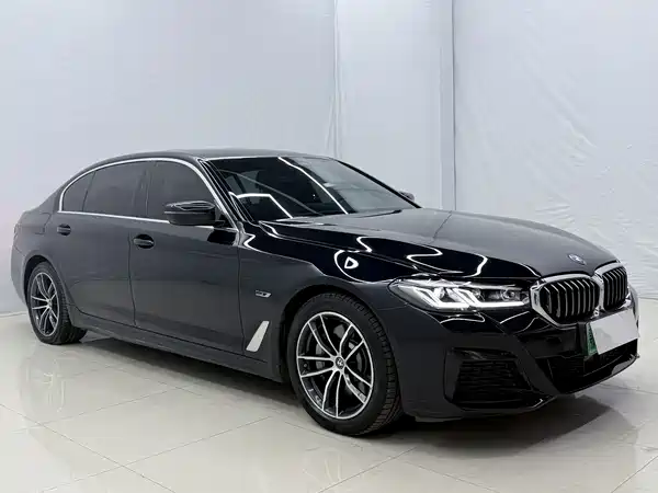 BMW 5 Series New Energy 2023