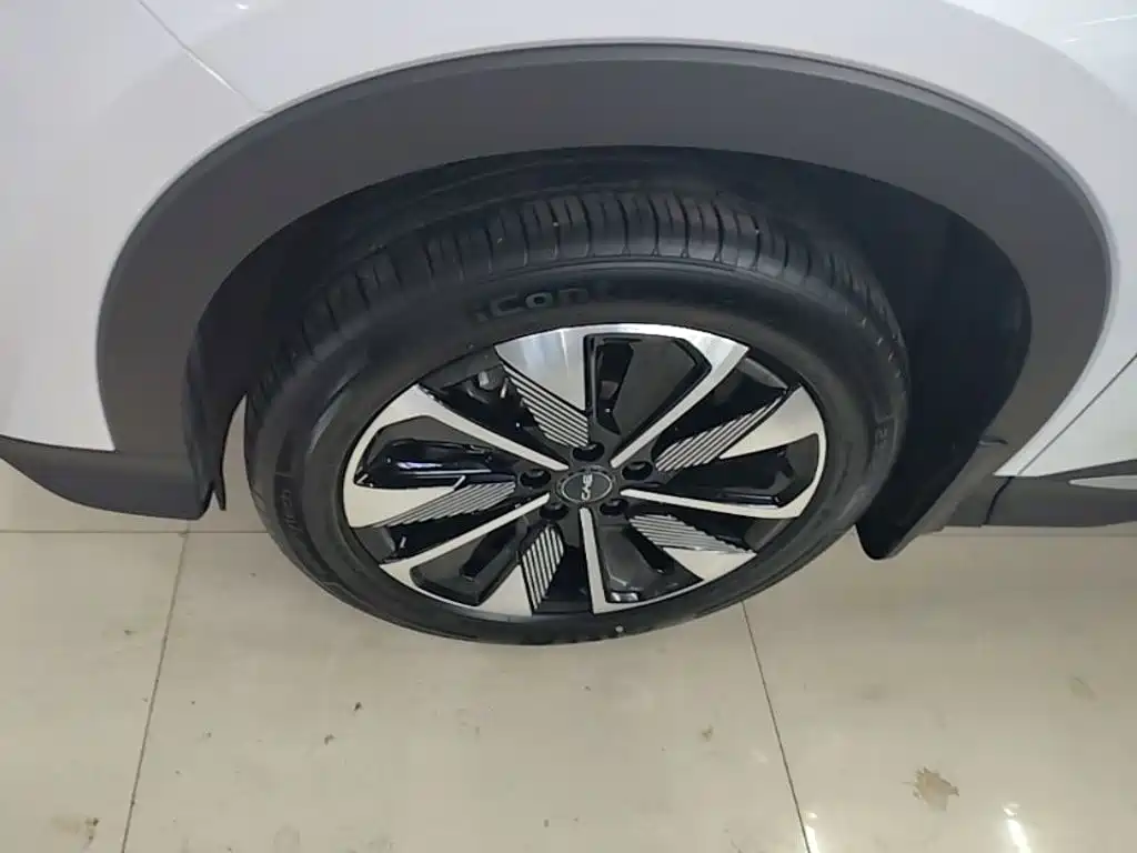 BYD PLUS New Energy 2025 — фото 23