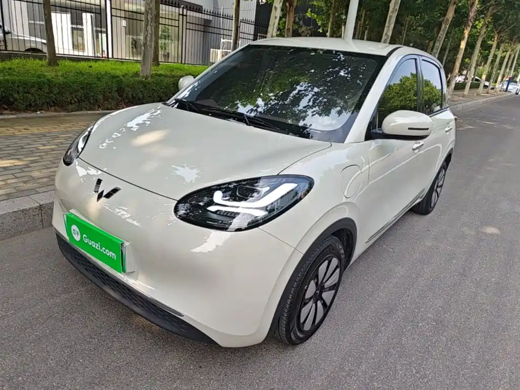 Wuling Bingo 2024