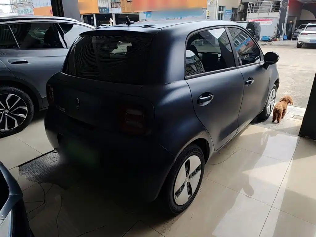 Ora Black Cat 2021
