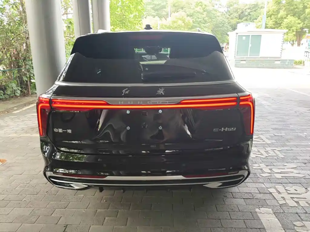 Hongqi E-HS9 2023