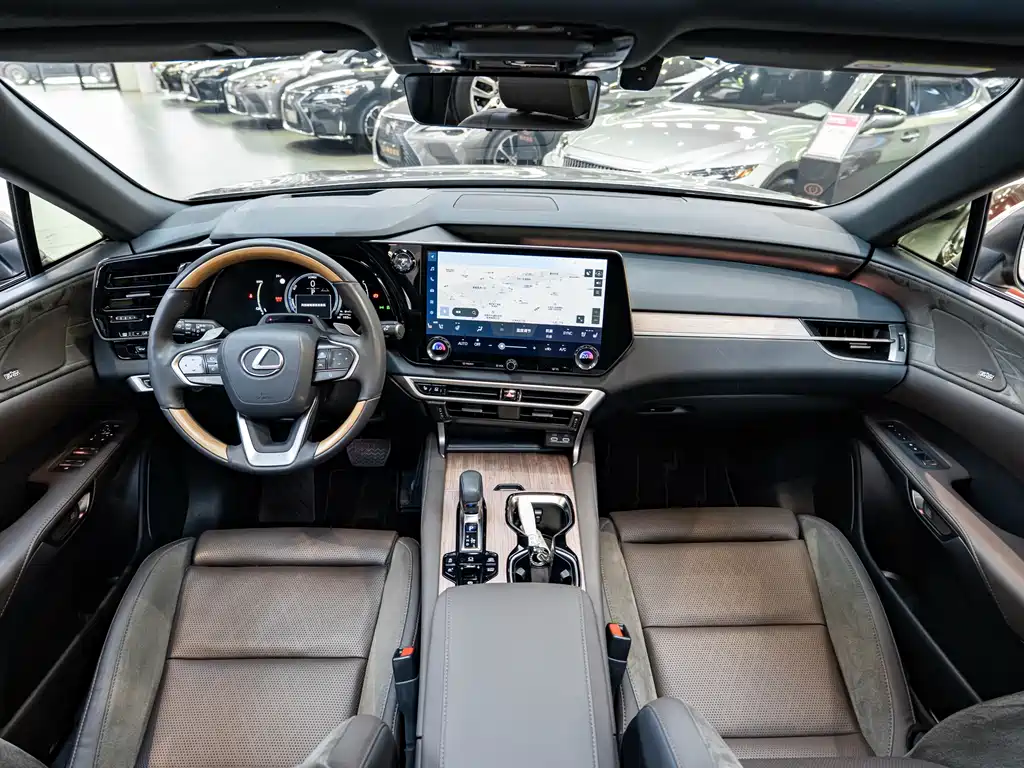 Lexus RX New Energy 2023 — фото 14